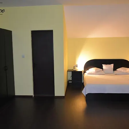 Guest house Pensiunea