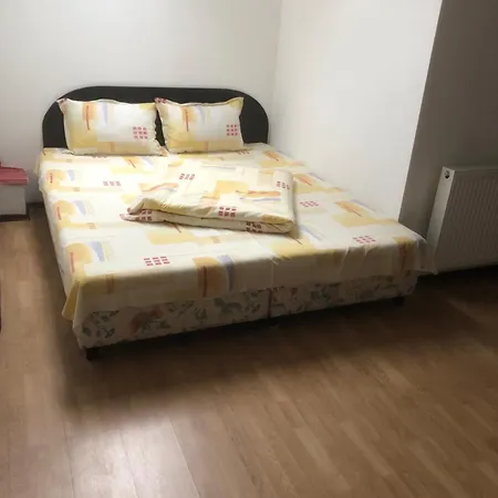Pensiunea Guest house