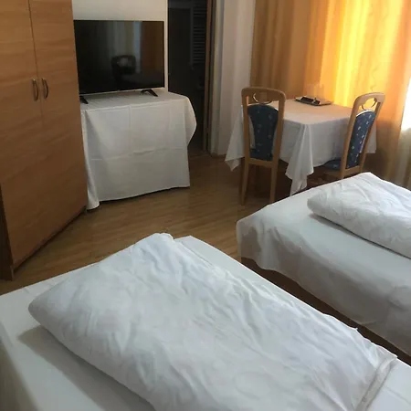 Guest house Pensiunea 3*